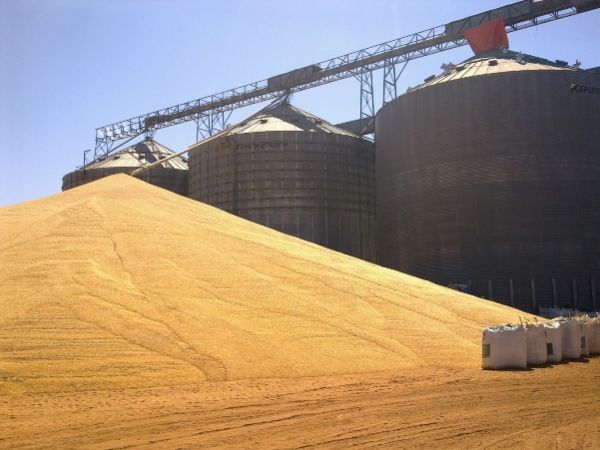 Mato Grosso n�o tem espa�o para armazenar 18 milh�es de toneladas de gr�os