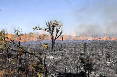 Per�odo proibitivo em Mato Grosso � prorrogado pela SEMA