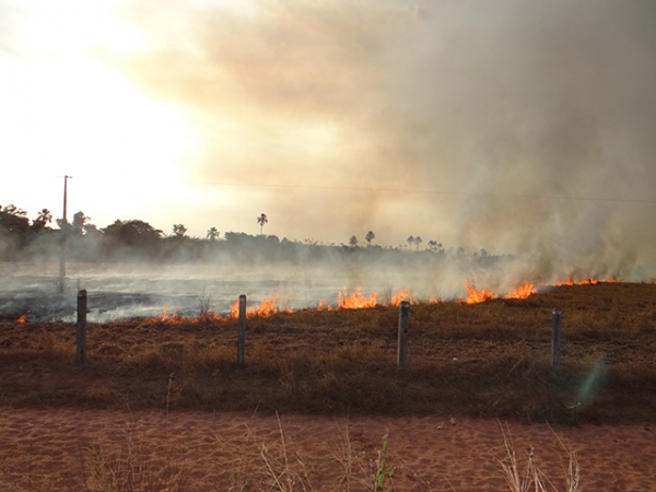 Sema prorroga at� dia 30 de setembro o per�odo proibitivo de queimadas em Mato Grosso