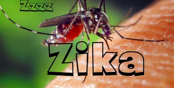 Mato Grosso j� registra quatro casos confirmados de zika v�rus