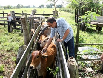 Agricultura defende coopera��o para fortalecer sanidade agropecu�ria