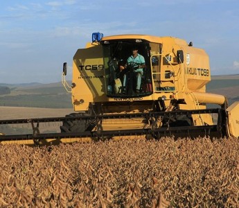 An�lise em Mato Grosso aponta que relat�rios podem impactar nos pre�os futuros da soja