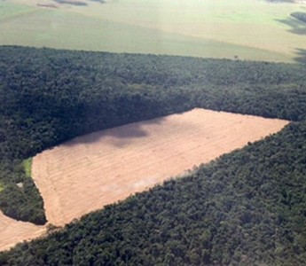 Mato Grosso retoma discuss�es do zoneamento ecol�gico-econ�mico