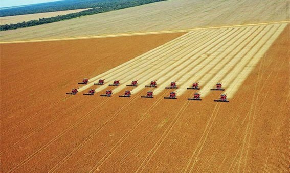 Capital do Agroneg�cio, Sorriso ser� tema de enredo no Rio de Janeiro