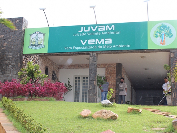 Juiz determina que Munic�pio de Cuiab� recolha animais das ruas
