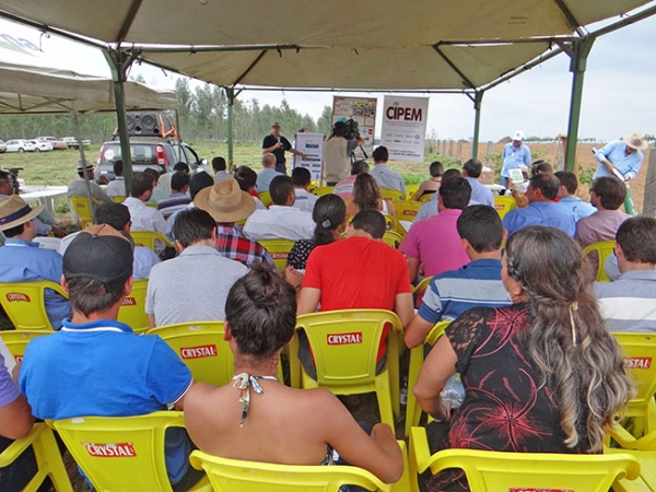 Organizadores ficam satisfeitos com o 4� Dia de Campo integra��o Lavoura Pecu�ria Floresta.