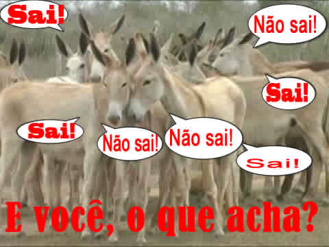 Enquanto isso, nas ruas da cidade o assunto � um s�: o homem sai ou n�o sai?