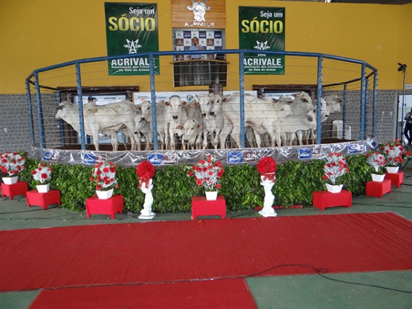 ACRIVALE fecha o ano com sucesso no 5� Leil�o Parceiros ACRIVALE