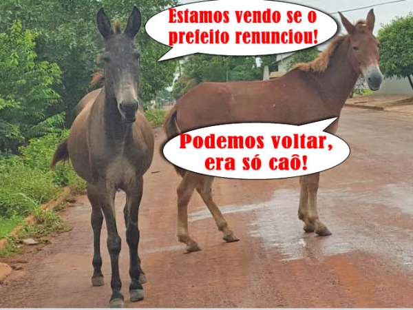 Ainda tem quem n�o acredita na ren�ncia da ren�nica