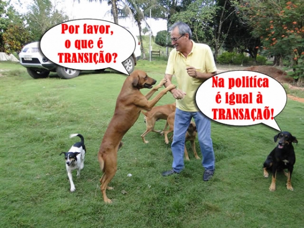 Voc� sabe a diferen�a entre Transi��o e Transa��o? O Faro Fino explica. 