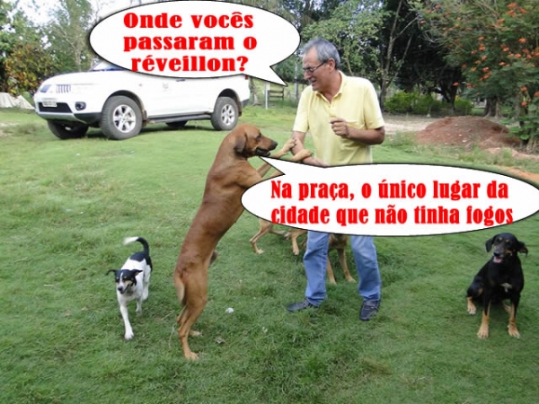 Finalmente a cachorrada encontra um lugar tranquilo para passar o r�veillon.