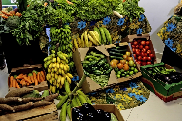 Governo divulga pre�o m�dio dos produtos da agricultura familiar