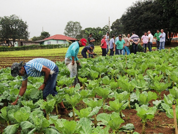 Governo cria grupo de trabalhar para elaborar diagn�stico da agricultura familiar