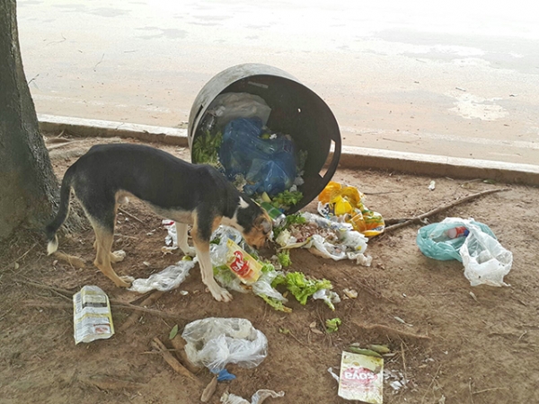 Vejam como � tratado o lixo em Juara. Esse estava em frente a uma lanchonete na Pra�a dos Colonizadores