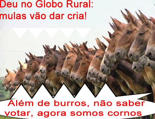 Not�cia do Globo Rural deixa muitos eleitores preocupados 