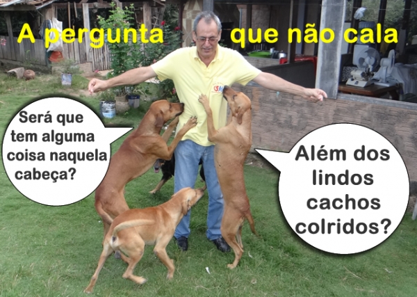A pergunta que n�o quer calar