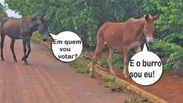 Tem gente pedindo voto dizendo que ainda � pr�-candidato.