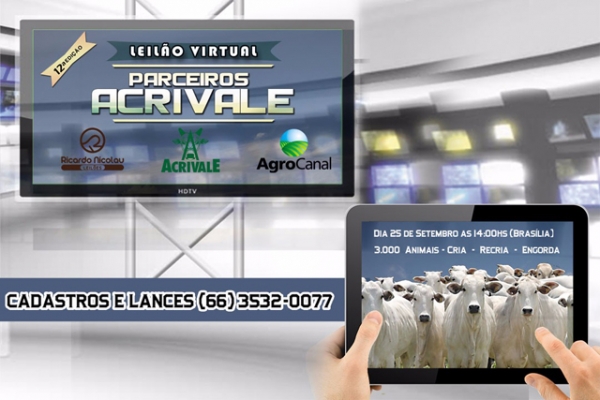 Leil�o Virtual Parceiros Acrivale acontece nesse domingo, 25 de setembro, pelo Agro Canal.