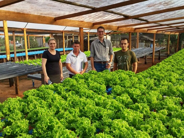 Gerente Sicredi visita produtores de hortali�as em Ju�na