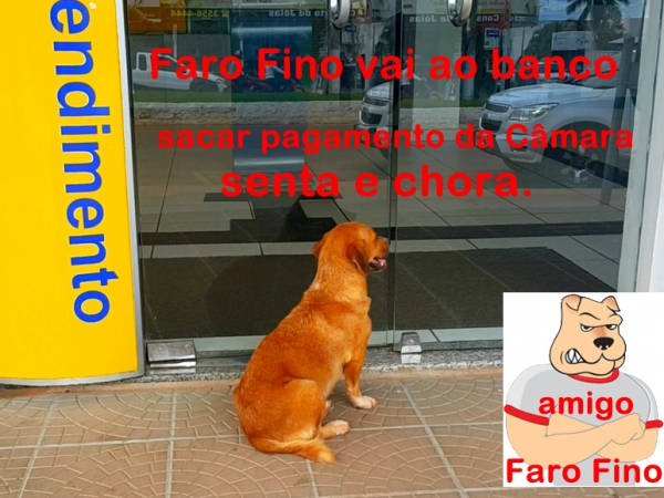 Faro Fino vai ao banco e se decepciona com pagamento da C�mara