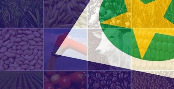 Cuiab� e munic�pios do agroneg�cio somam 54,6% do PIB de Mato Grosso