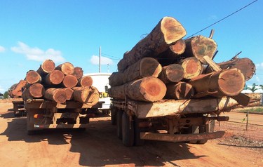 Sema apreende caminh�es e madeira ilegal no Nort�o