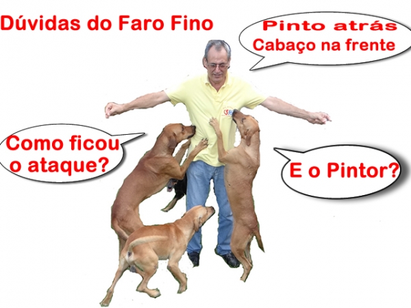 Tirando d�vdas do Faro Fino