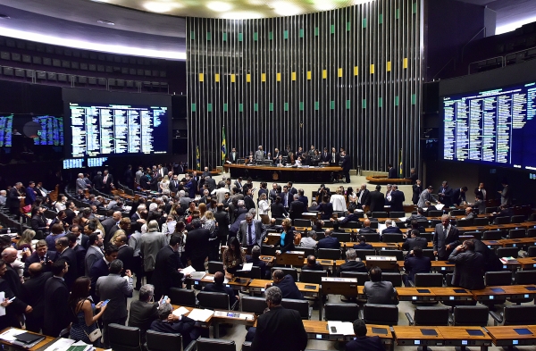 C�mara aprova projeto que pro�be exterm�nio de c�es e gatos por �rg�os p�blicos