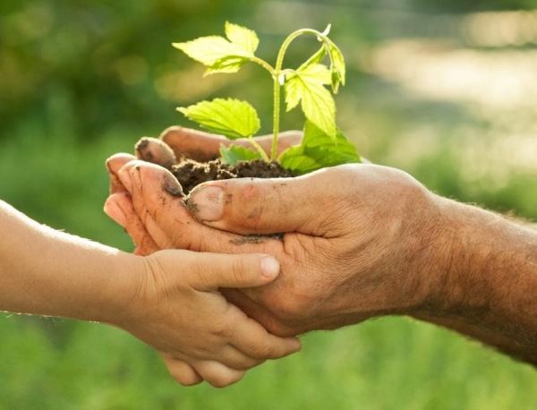 Curso de �Forma��o de Multiplicadores em Educa��o Ambiental� ser� realizado em Juara na pr�xima semana