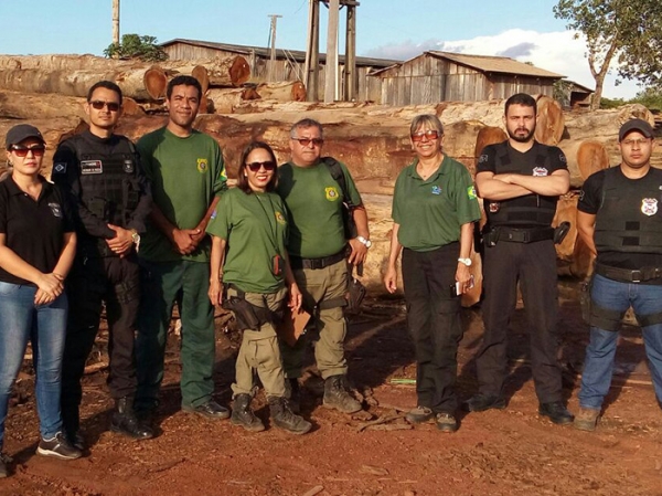 PJC e IBAMA prendem dono de madeireira e gerente por crimes ambientais em Aripuan�