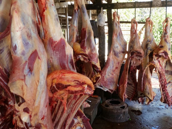DEMA: Mais de 500 quilos de carne s�o apreendidos em matadouro clandestino