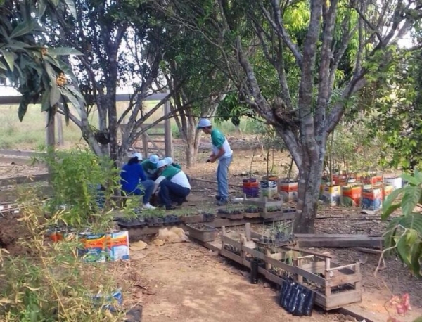 QUALIFICA��O Quinze pessoas concluem o curso de Produ��o de Mudas em Viveiros Florestais