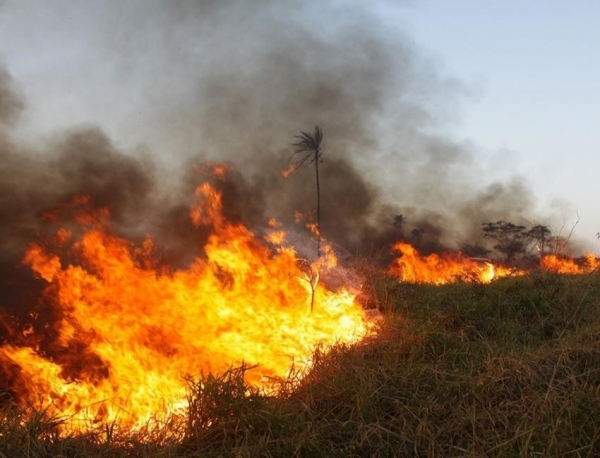 Per�odo de seca exige cuidados redobrados com os terrenos e quintais