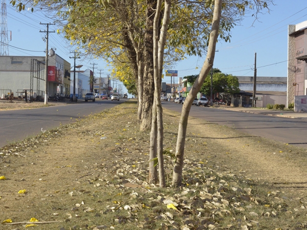 Estudo sobre mudan�a do canteiro central da Avenida Rio Arinos est� em fase de conclus�o 
