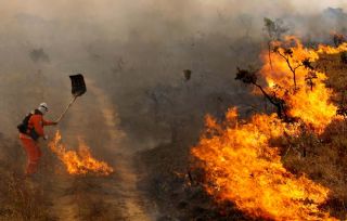 Inc�ndios reduzem, mas devastam �reas de preserva��o em Mato Grosso