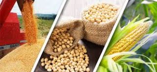 Pre�os de commodities t�m queda de 2,06% em agosto