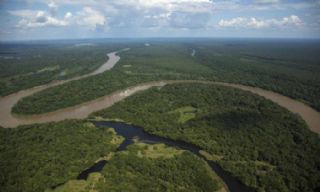 STF come�a a julgar c�digo florestal nesta 5�, a legisla��o ainda op�e ambientalistas e ruralistas