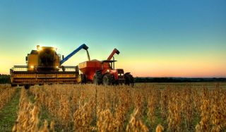 USDA: Margens de soja e milho v�o encolher em 2017/18