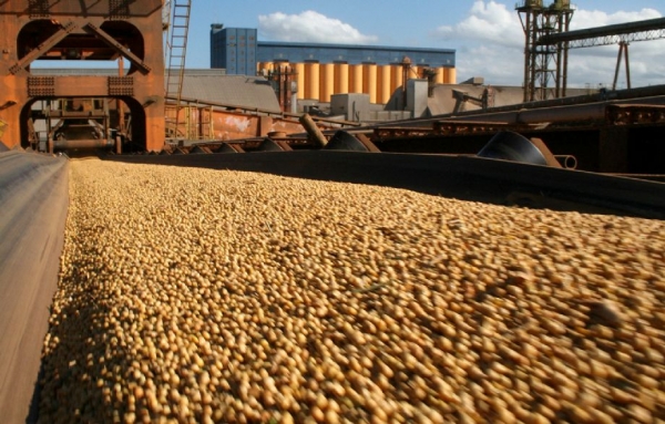 EUA: Exportadores de soja privados relatam vendas de 132 mil toneladas para China
