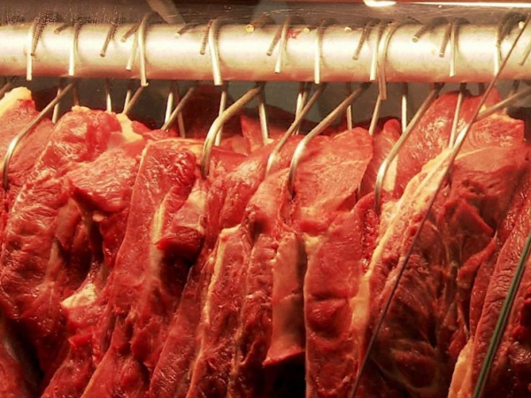 Mato Grosso registra novo recorde em exporta��es de carne bovina