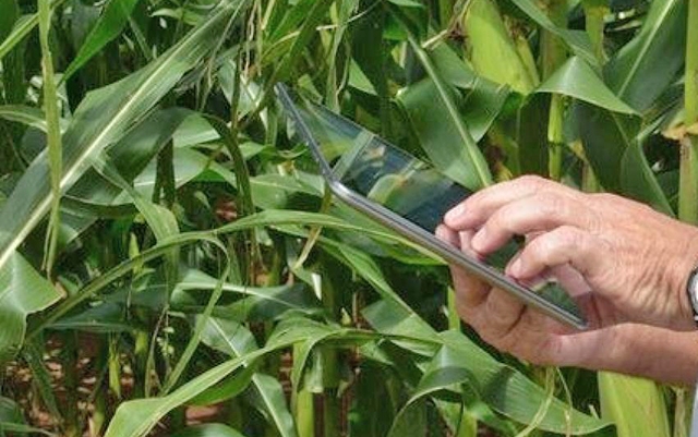 Aplicativo prev� tempestades e auxilia agricultores