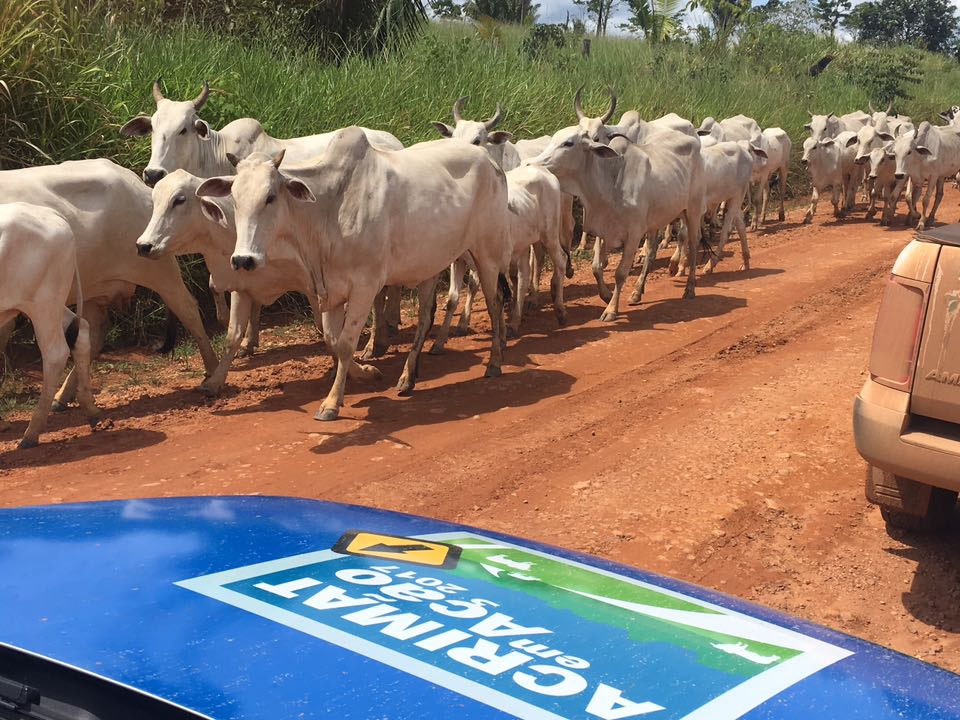 Acrimat em A��o 2018 coloca a agrega��o de valor na cadeia da carne em pauta