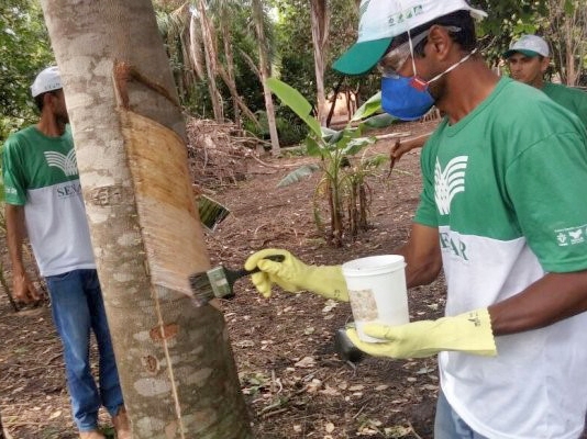 Parceria garante capacita��o para diversificar a renda do produtor rural
