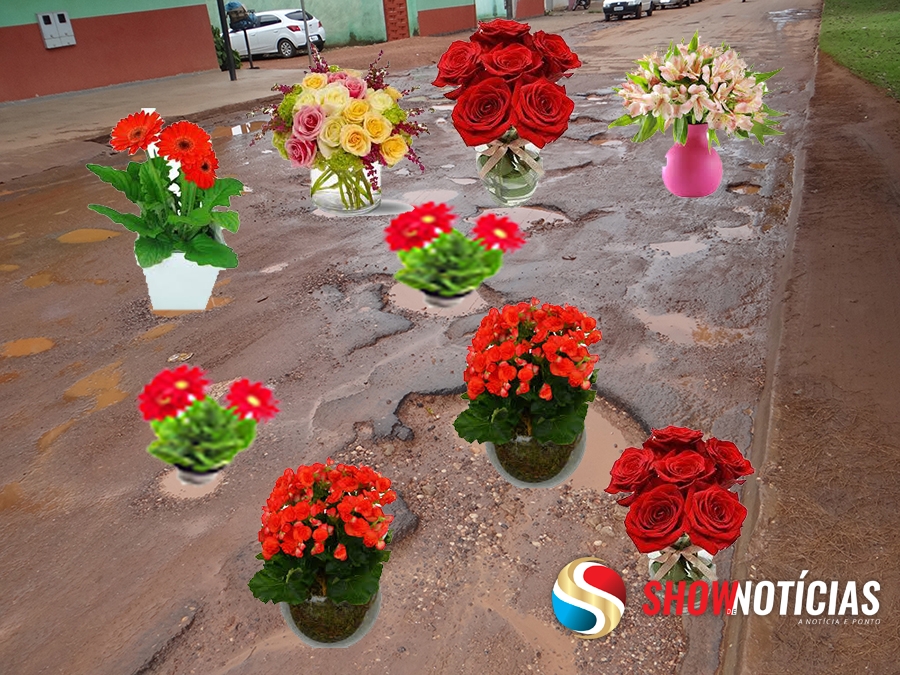 Como ficaria a Avenida Rio Arinos se plant�ssemos flores para tapar os buracos