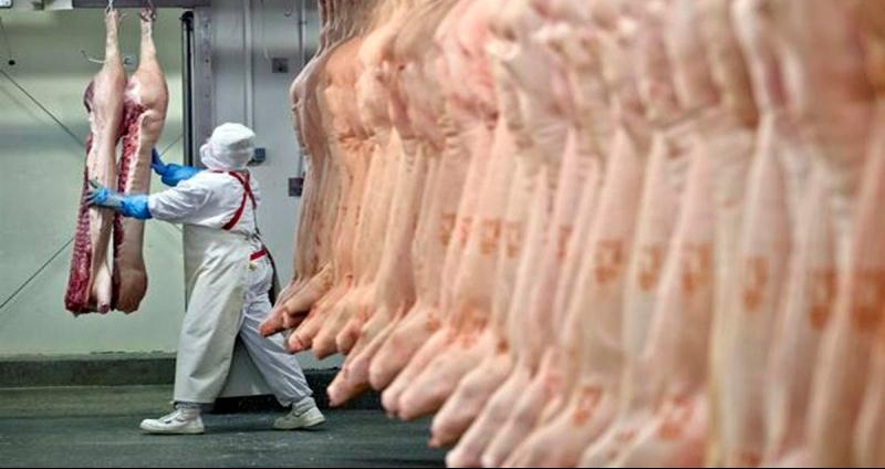 Brasil exportar� carne su�na para a Coreia do Sul