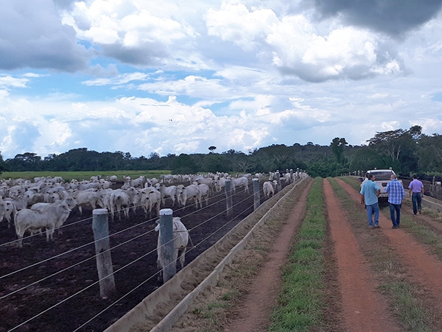 Confinar 2018: Produtor de Ribas do Rio Pardo apresentar� modelo de aduba��o de pastagem
