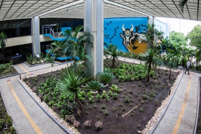 Estado de mato Grosso decreta ponto facultativo em dias de jogos do Brasil pela manh� 