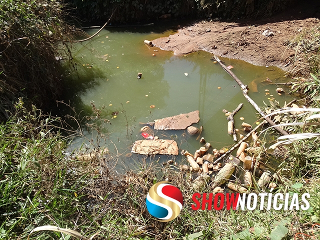 Lava Jato polui �gua e cria foco de mosquito da dengue.