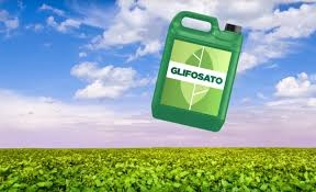 RF-1 derruba liminar que suspendia registro de glifosato e outros agroqu�micos