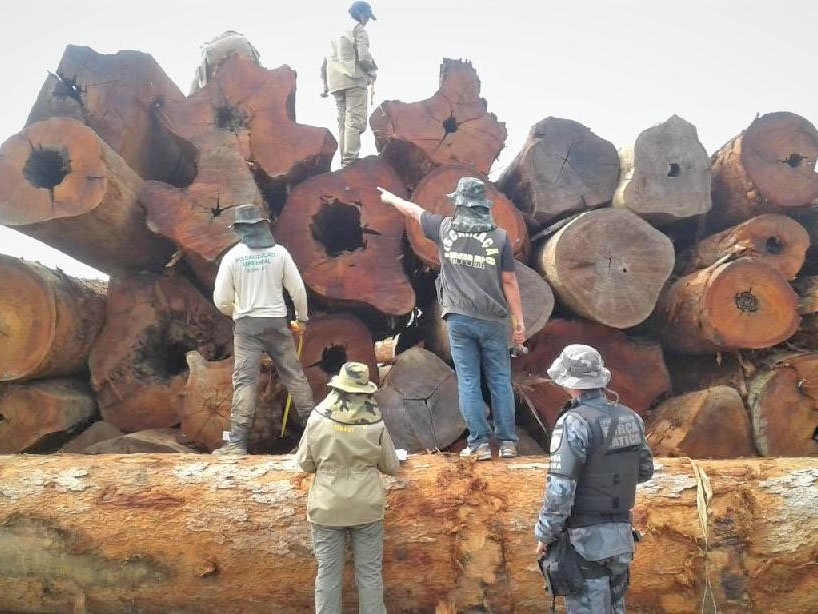 Sema apreende maior volume de madeira da �ltima d�cada em Colniza